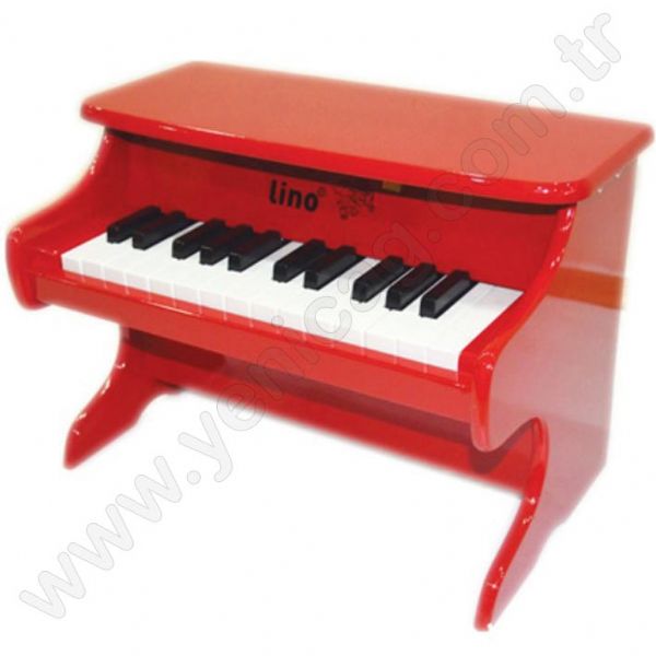 Piano With 25 Keys